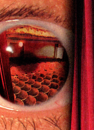 L'ENDROIT DU THÉÂTRE